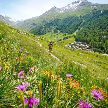 Batiment F - A Mont Blanc Panorama شقة