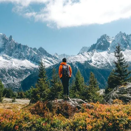 Batiment F - A Mont Blanc Panorama *