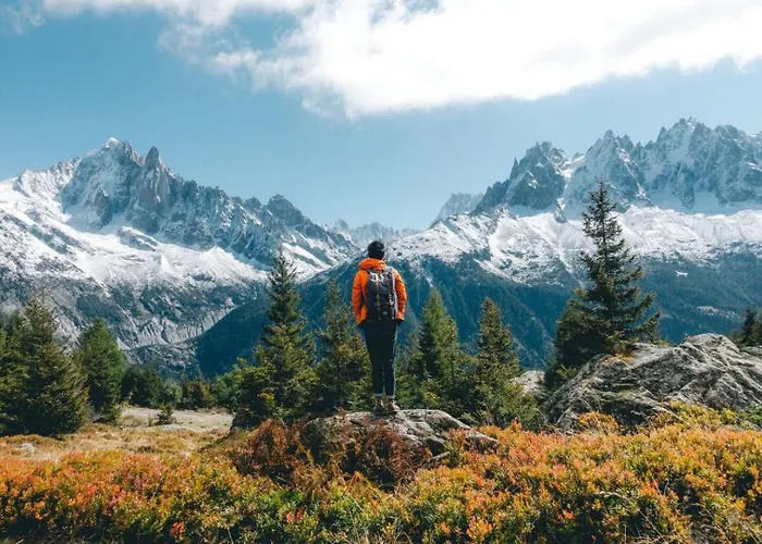 Batiment F - A Mont Blanc Panorama *